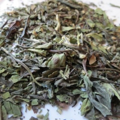 T&eacute; Blanco - Tangiers Lemon